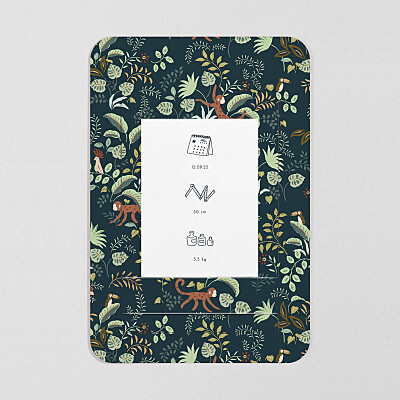 Faire-part de naissance motifs petit ouistiti (bandeau) bleu nuit Faire-part de naissance motifs petit ouistiti (bandeau) bleu nuit