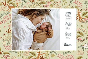 Faire-part de naissance avec photo petit ouistiti (paysage) vert Faire-part de naissance avec photo petit ouistiti (paysage) vert