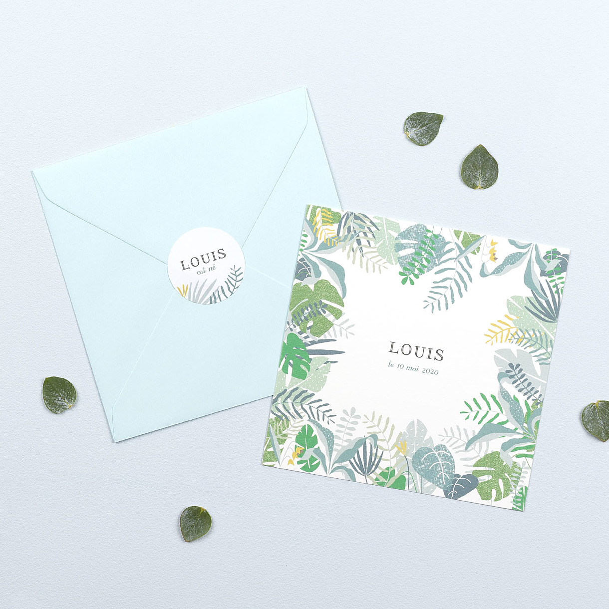 Stickers naissance jardin tropical Stickers naissance jardin tropical